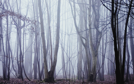 1753804 (a): :1920x1200